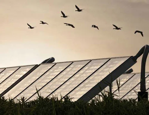 modern-solar-collectors-1-500